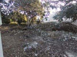  Grundstück zu verkaufen in Tixpehual, Yucatan, Tixpehual