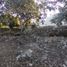  Land for sale in Tixpehual, Yucatan, Tixpehual, Yucatan