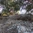  Land for sale in Tixpehual, Yucatan, Tixpehual, Yucatan