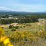  Terreno (Parcela) en venta en Cardenal Caro, Libertador General Bernardo O'Higgins, Pichilemu, Cardenal Caro