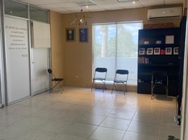 38 SqM Office for rent in Cozumel, Quintana Roo, Cozumel