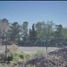  Land for sale in Juarez, Chihuahua, Juarez, Chihuahua