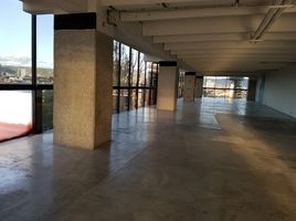 272 m² Office for rent in Guanajuato, Leon, Guanajuato