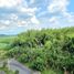 在Valle Del Cauca出售的2 卧室 住宅, Cali, Valle Del Cauca