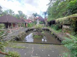  Tanah for sale in Ubud, Gianyar, Ubud