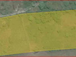  Land for sale in Amadeo, Cavite, Amadeo