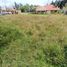  Land for sale in San Joaquin, Cuenca, San Joaquin