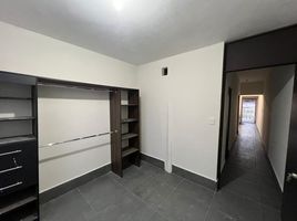 2 Bedroom Apartment for rent in Monterrey, Nuevo Leon, Monterrey, Nuevo Leon