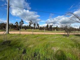  Terreno (Parcela) en venta en Cardenal Caro, Libertador General Bernardo O'Higgins, Litueche, Cardenal Caro