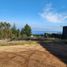  Terreno (Parcela) en venta en Cardenal Caro, Libertador General Bernardo O'Higgins, Pichilemu, Cardenal Caro