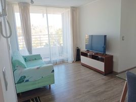 칠레PropertyTypeNameBedroom, Valparaiso, 발파라 이소, 발파라 이소, 칠레