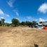  Land for sale in Amadeo, Calabarzon, Amadeo