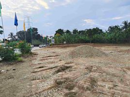  Land for sale in Amadeo, Cavite, Amadeo