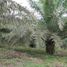  Villa for sale in Muisne, Esmeraldas, Muisne, Muisne