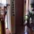 3 Schlafzimmer Haus zu verkaufen in Coyoacan, Mexico City, Coyoacan