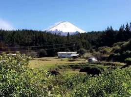  Villa for sale in Cotopaxi, Alaques Alaquez, Latacunga, Cotopaxi