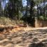  Terreno (Parcela) en venta en Mazamitla, Jalisco, Mazamitla