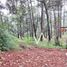  Terreno (Parcela) en venta en Mazamitla, Jalisco, Mazamitla
