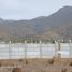  Terreno (Parcela) en venta en Colegio Alonso de Ercilla, La Serena, Coquimbo