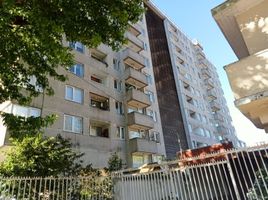 2 Schlafzimmer Appartement zu vermieten in Falabella Mall Plaza El Trébol, Talcahuano, Concepcion