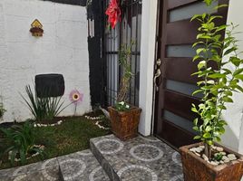 3 Schlafzimmer Haus zu verkaufen in Tarimbaro, Michoacan, Tarimbaro