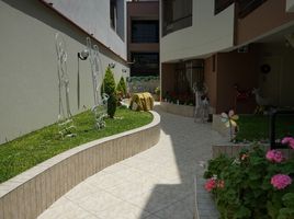 3 Schlafzimmer Appartement zu verkaufen in San Borja, Lima, San Borja, Lima, Lima