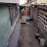 在Lima出售的8 卧室 别墅, Carabayllo, Lima, Lima