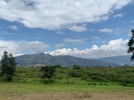  Terrain for sale in Mariscal Sucre International Airport, Quito, Checa Chilpa, Quito