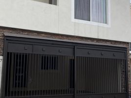 누에 보 레온PropertyTypeNameBedroom, 몬테레이, 누에 보 레온