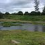  Land for sale in Castillejos, Central Luzon, Castillejos