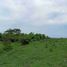  Land for sale in Klungkung, Bali, Banjarangkan, Klungkung