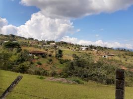  Terreno (Parcela) en venta en Dagua, Valle Del Cauca, Dagua