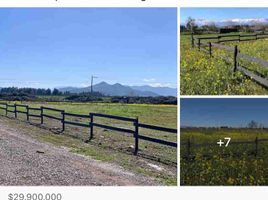  Land for sale in Chile, Teno, Curico, Maule, Chile