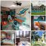 3 Bedroom House for sale in Xochitepec, Morelos, Xochitepec