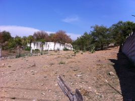  Land for sale in Amacuzac, Morelos, Amacuzac