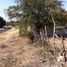  Land for sale in Amacuzac, Morelos, Amacuzac