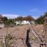  Land for sale in Amacuzac, Morelos, Amacuzac