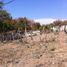  Land for sale in Amacuzac, Morelos, Amacuzac