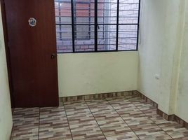 2 Schlafzimmer Appartement zu vermieten in Lima, Los Olivos, Lima, Lima