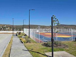  Terreno (Parcela) en venta en Huimilpan, Querétaro, Huimilpan