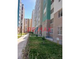 3 Habitación Departamento en alquiler en Perú, Piura, Piura, Piura, Perú