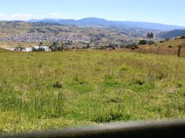  Terrain for sale in Cundinamarca, Choconta, Cundinamarca