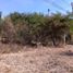  Land for sale in Amacuzac, Morelos, Amacuzac
