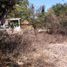  Land for sale in Amacuzac, Morelos, Amacuzac