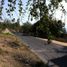  Land for sale in Amacuzac, Morelos, Amacuzac