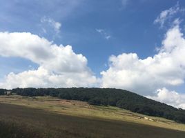  Grundstück zu verkaufen in Jilotepec, Mexico, Jilotepec