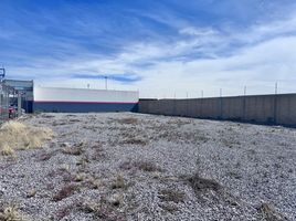  Grundstück zu vermieten in Zaragoza, San Luis Potosi, Zaragoza, San Luis Potosi