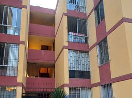 2 Bedroom Condo for sale in Callao, Ventanilla, Callao, Callao