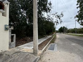  Grundstück zu verkaufen in Conkal, Yucatan, Conkal