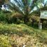  Land for sale in Curimana, Ucayali, Curimana, Padre Abad